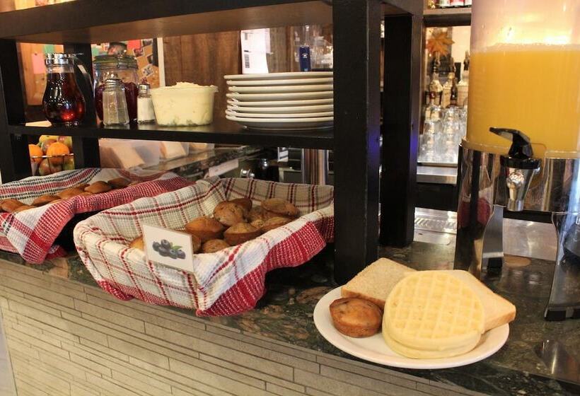 Samesun Montreal Hotel & Hostel