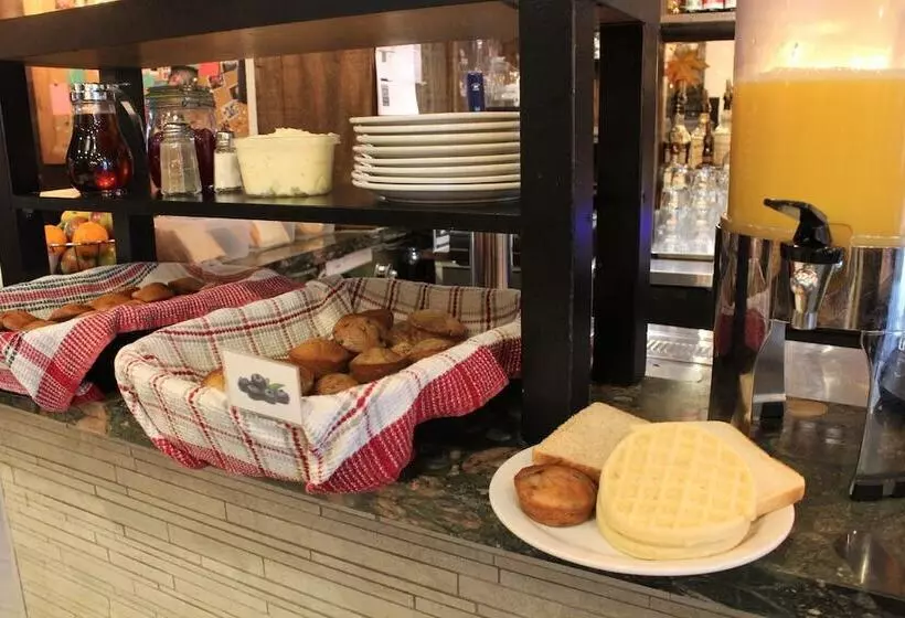 Samesun Montreal Hotel & Hostel