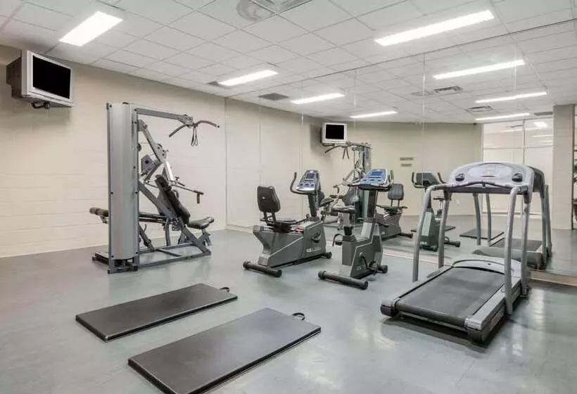 ホテル Super 8 By Wyndham Mississauga