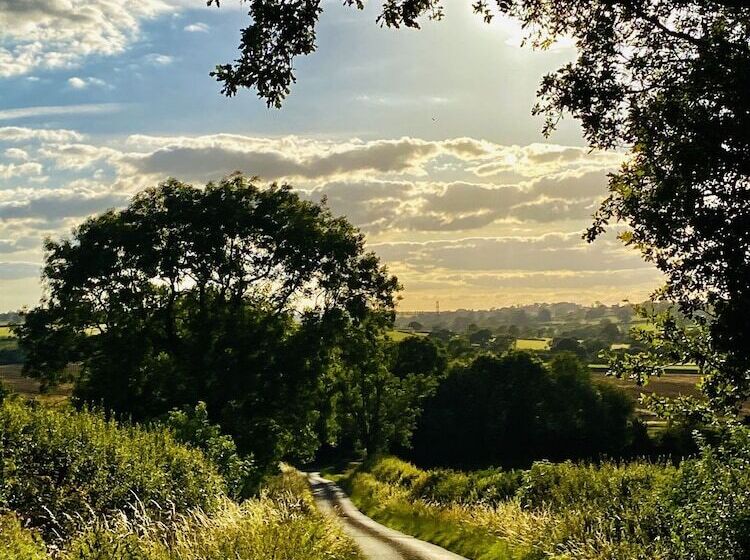 Hotel The Old Pheasant