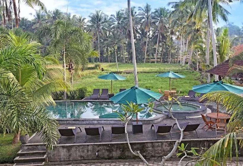 酒店 Bhanuswari Resort & Spa