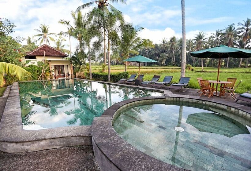 酒店 Bhanuswari Resort & Spa