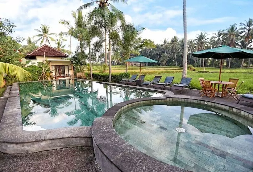 酒店 Bhanuswari Resort & Spa