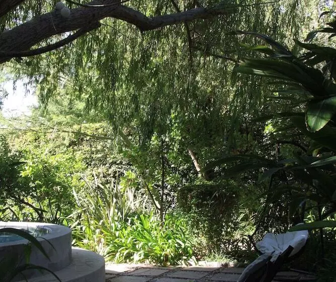 Отель Mimosa Lodge