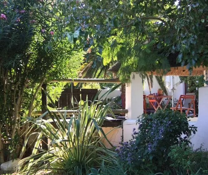 Отель Mimosa Lodge