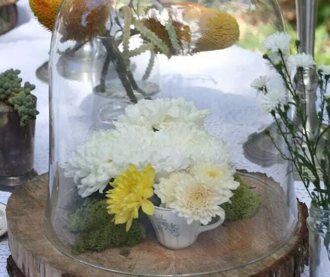 Отель Mimosa Lodge