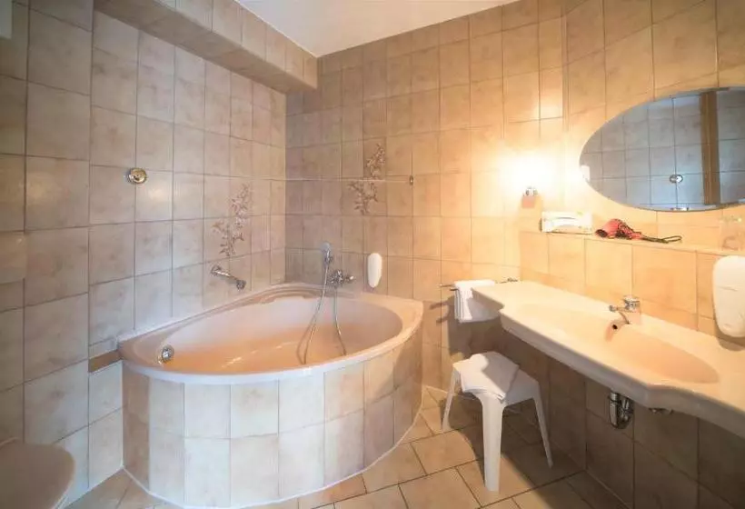 Отель Reichels Park