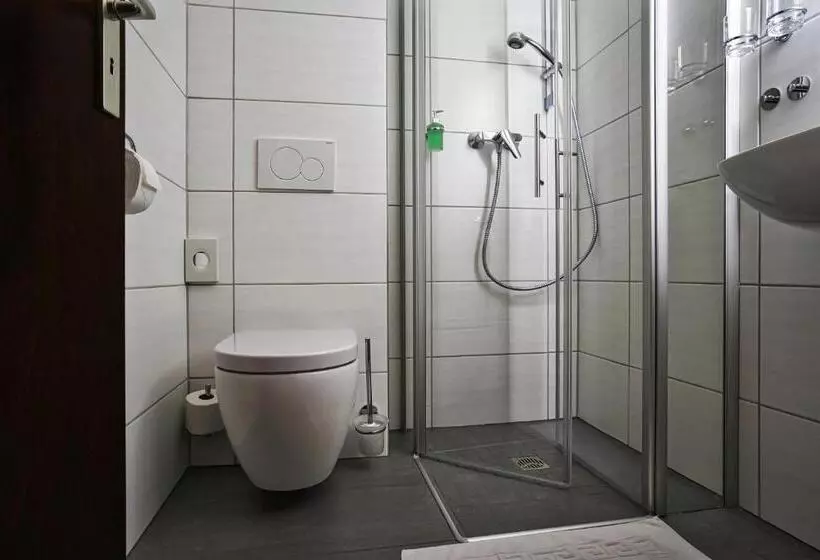 Отель Reichels Park