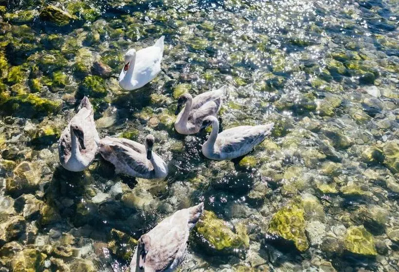 فندق Orione Lake Front