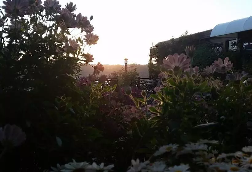 酒店 Villa Degli Angeli