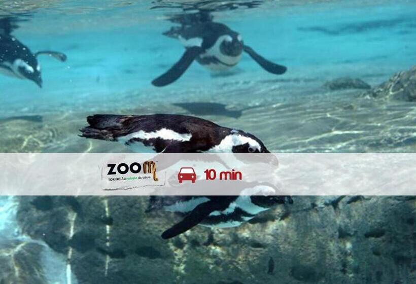 ホテル Villa Glicini