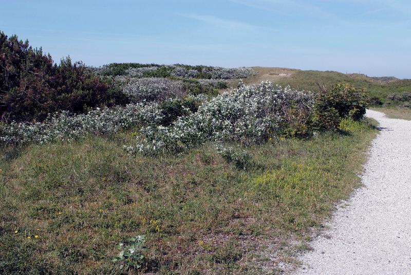 Fletcher Hotel   Restaurant De Cooghen