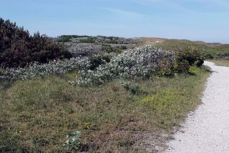 Fletcher Hotel   Restaurant De Cooghen