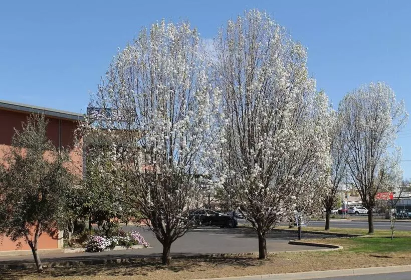 Отель Forbes Victoria Inn