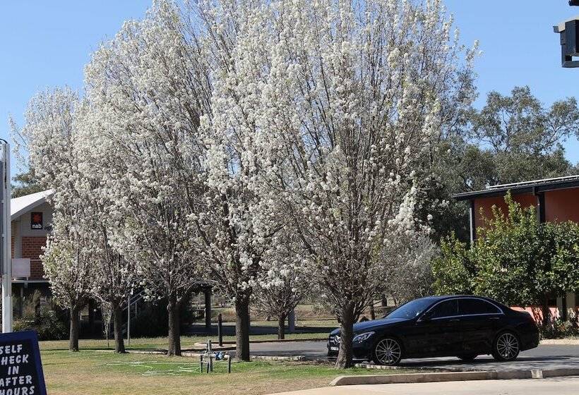 Отель Forbes Victoria Inn