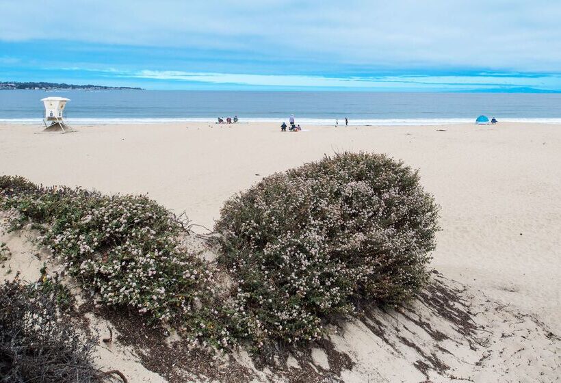 בית מלון כפרי Hampton Inn Monterey