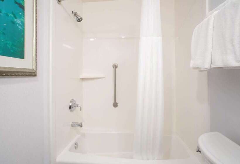 בית מלון כפרי Hampton Inn Monterey