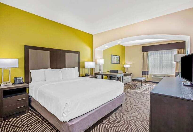 酒店 La Quinta Inn & Suites By Wyndham Corpus Christi Northwest