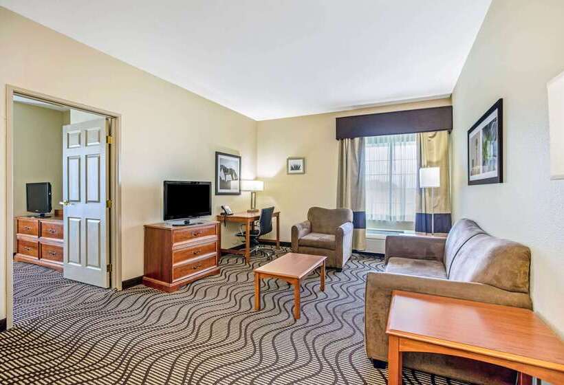 酒店 La Quinta Inn & Suites By Wyndham Corpus Christi Northwest