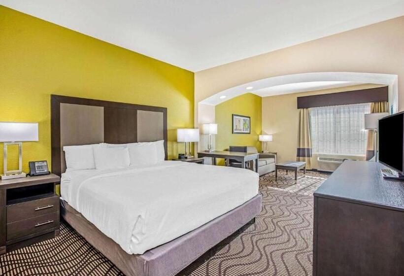 酒店 La Quinta Inn & Suites By Wyndham Corpus Christi Northwest