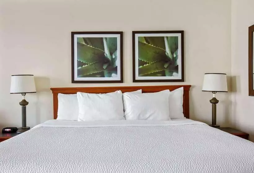 Отель La Quinta Inn & Suites By Wyndham Sawgrass