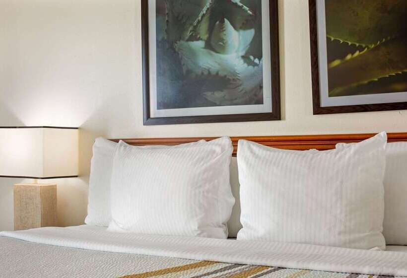 فندق La Quinta Inn & Suites By Wyndham Sawgrass