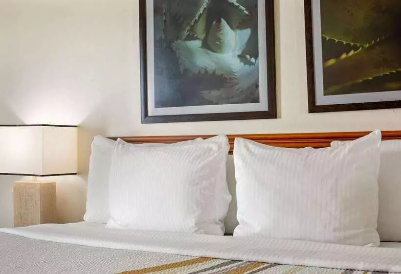 Отель La Quinta Inn & Suites By Wyndham Sawgrass