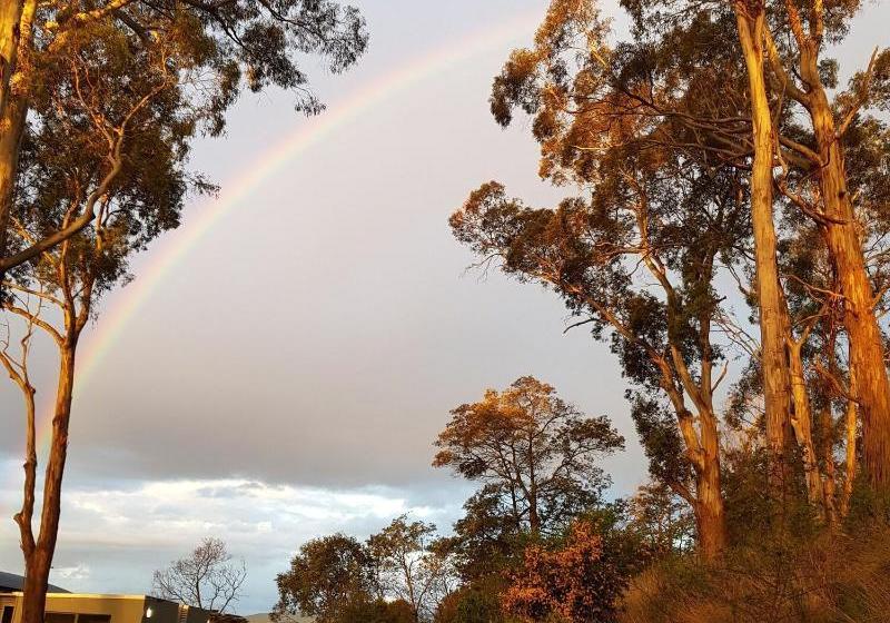 Отель Rosevears Vinyard
