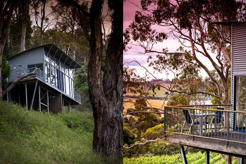 Отель Rosevears Vinyard