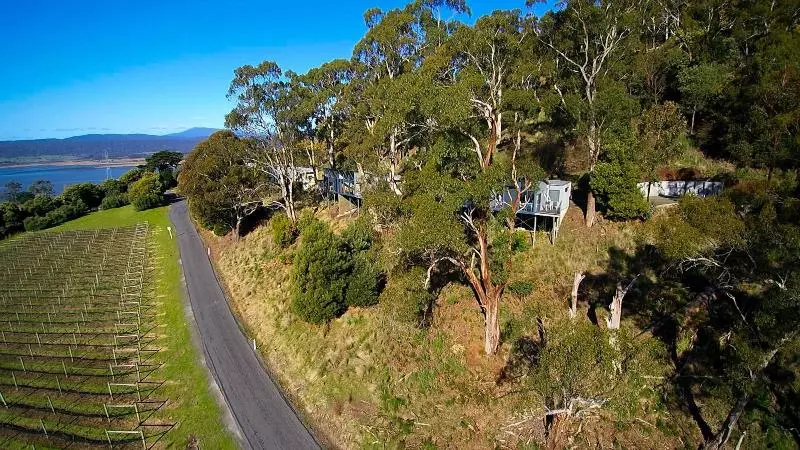 Отель Rosevears Vinyard