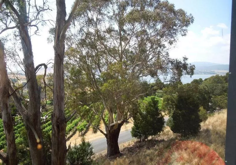 Отель Rosevears Vinyard