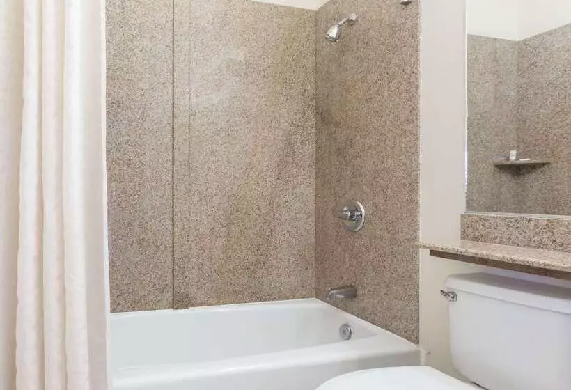 Microtel Inn & Suites By Wyndham Tracy