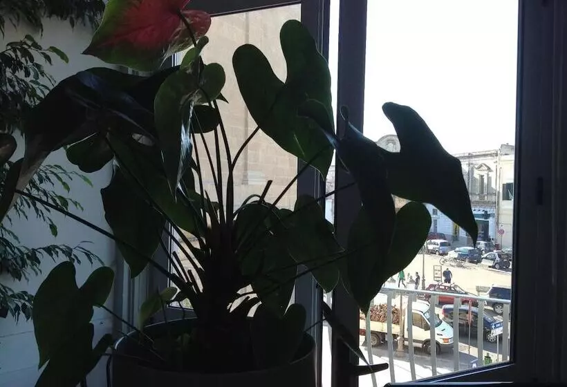 בית מלון כפרי Castello