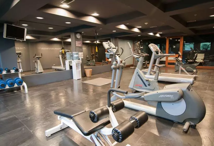 酒店 Enjoy Puerto Varas