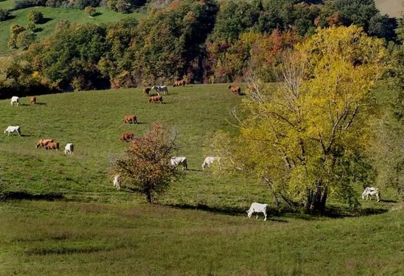 Отель Agriturismo Monastero Di San Biagio