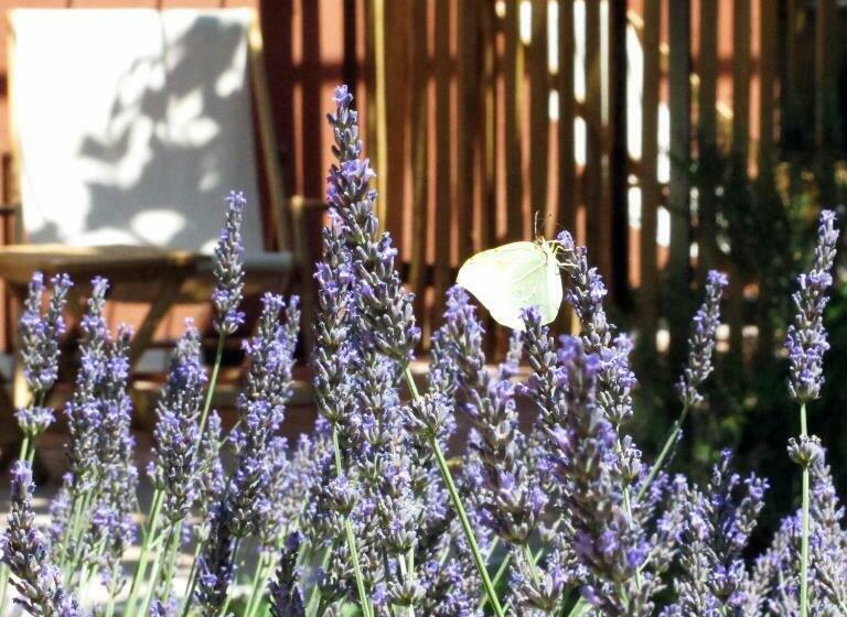 Bed and Breakfast Les Pierres Sauvages