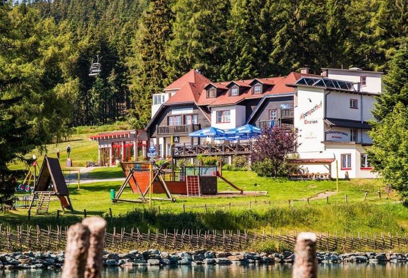 Alpenhotel Enzian