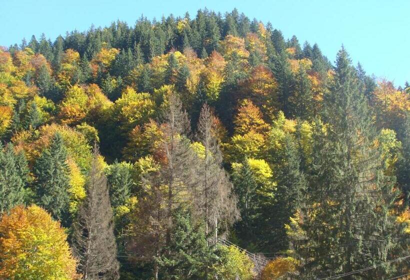 בית מלון כפרי Restaurant Siesta Balea