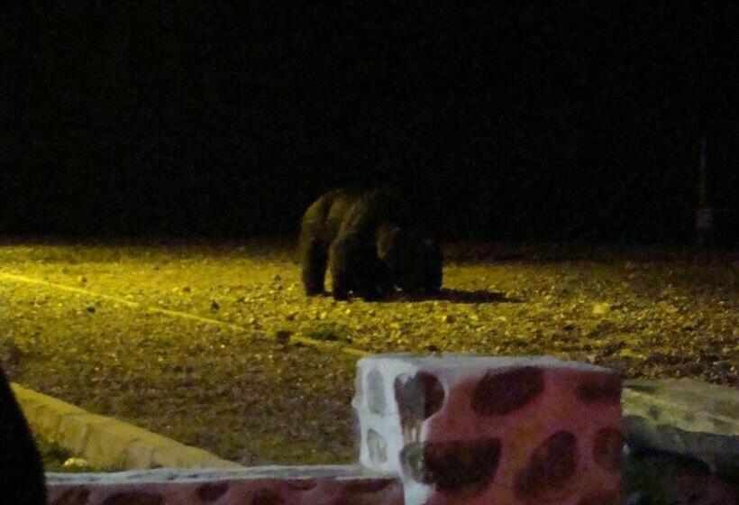 בית מלון כפרי Restaurant Siesta Balea