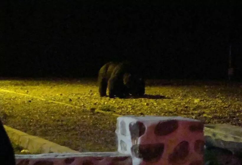 Hotelli Restaurant Siesta Balea