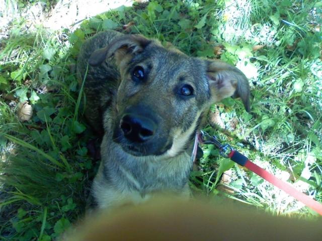 פנסיון Affittacamere Le Meridiane