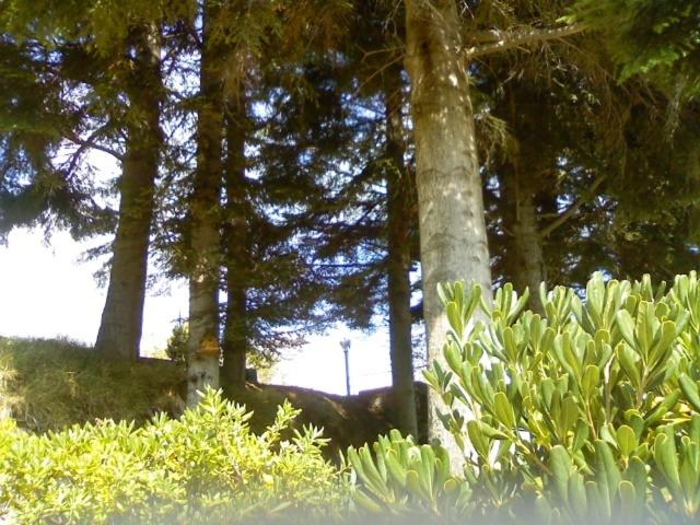 פנסיון Affittacamere Le Meridiane