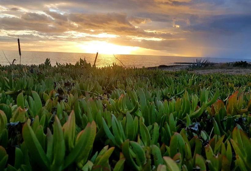 펜션 Lu Salentu Guest House