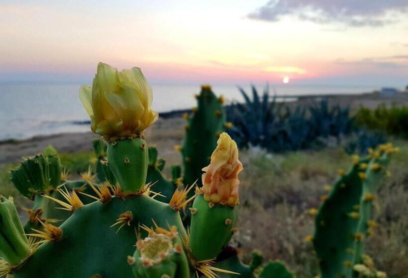 펜션 Lu Salentu Guest House