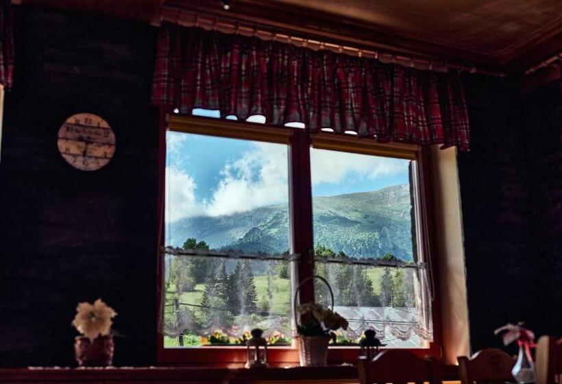 膳宿费 Penzión Patrik