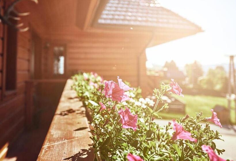 膳宿费 Penzión Patrik