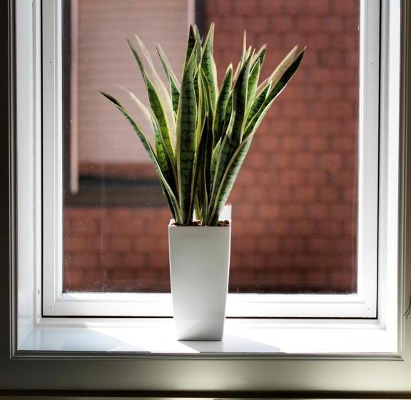 Apartments Belgium Ii