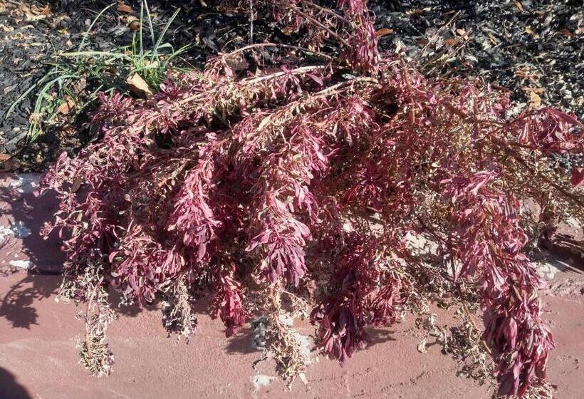 汽车旅馆  The Charin Inn