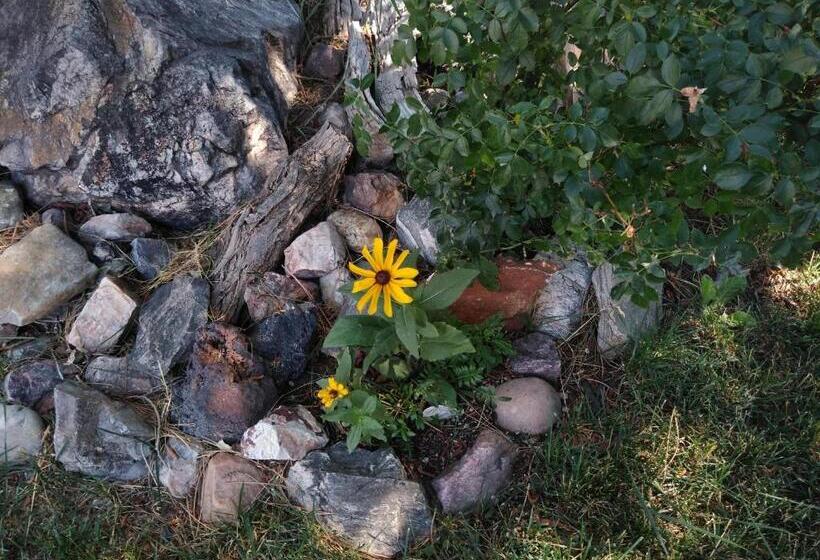 汽车旅馆  The Charin Inn