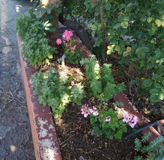 Motel The Charin Inn